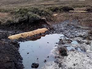 Mourne Heritage Trust